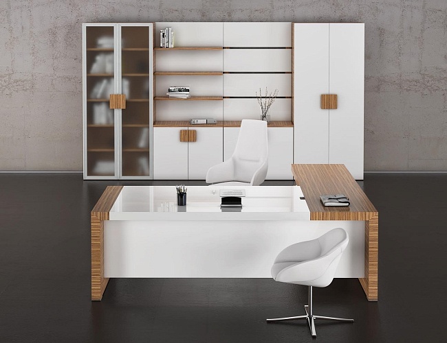 фото кабинет руководителя Kyu №5