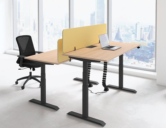 фото мебель Motum Plus №2