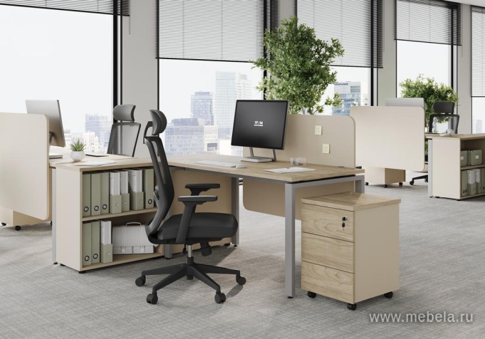 мебель для офиса Rio