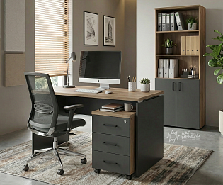 фото мебель Darum Dub  №2