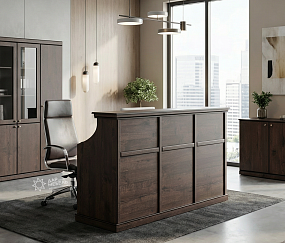 ресепшн Bern Dub