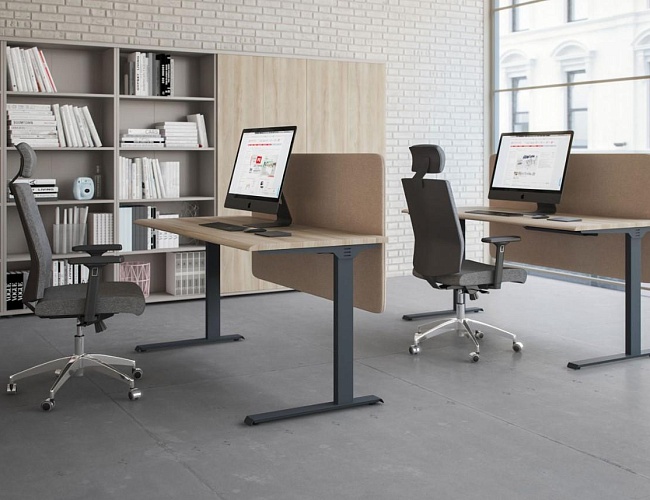 фото мебель Alta ML №3