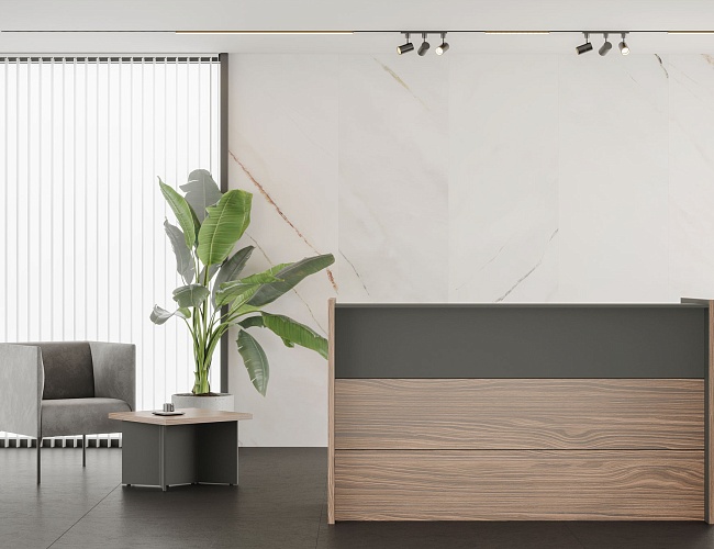 фото ресепшн Дали Орех №3