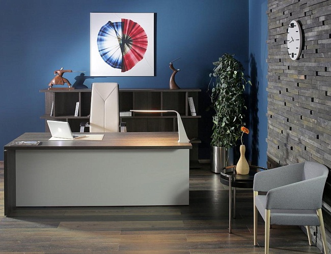 фото кабинет Terra №5