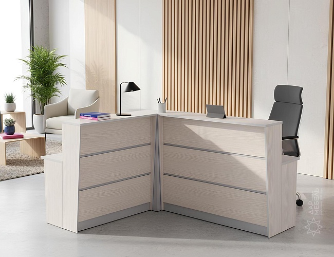 фото ресепшн Rapid White