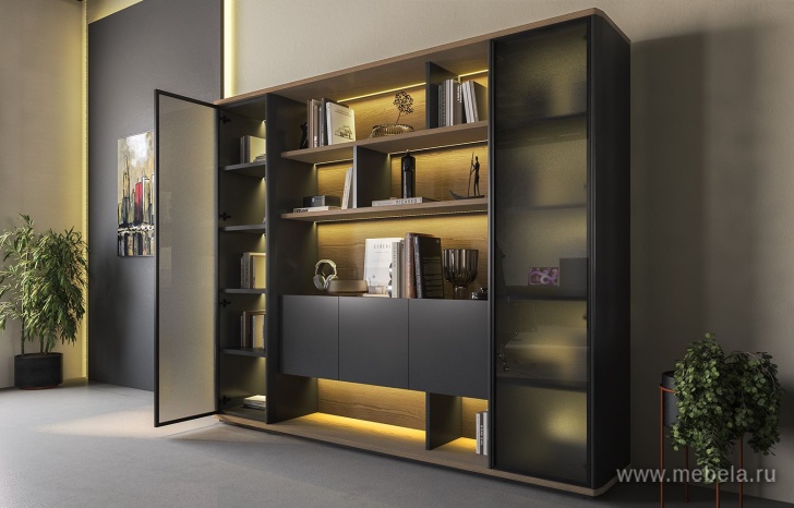 Кабинет руководителя Ion