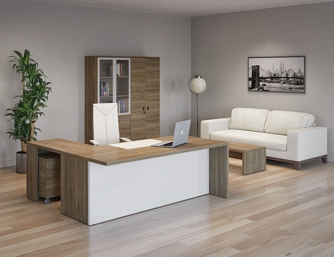 фото кабинет руководителя Terra White №2