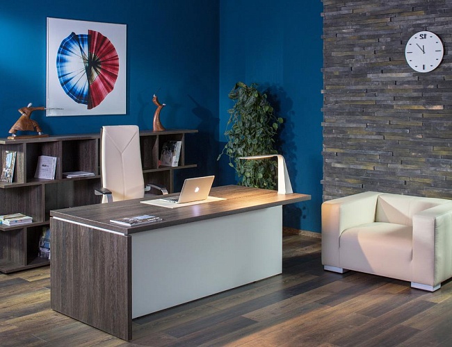 фото кабинет Terra №4