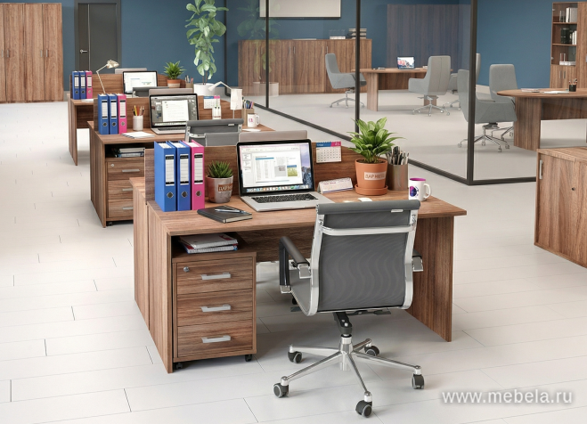 офисная мебель Argo