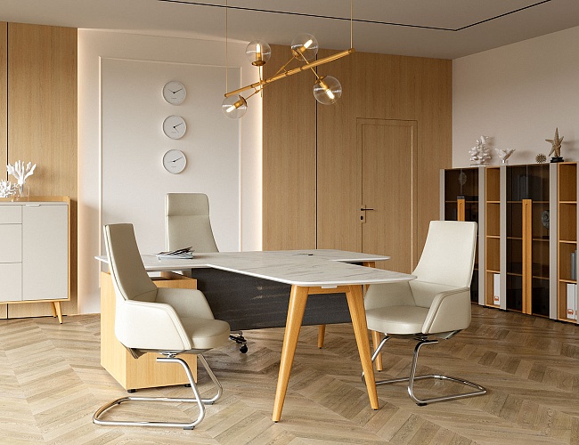 фото кабинет Remo White №5