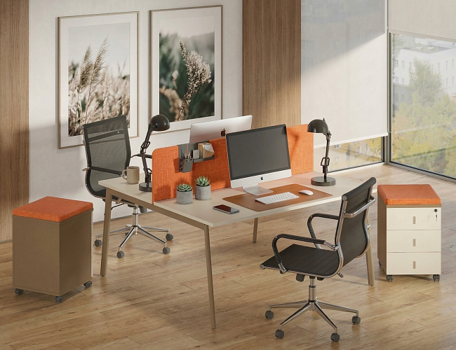 фото мебель Эстетика