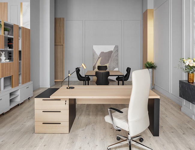 фото кабинет Renz Light №3